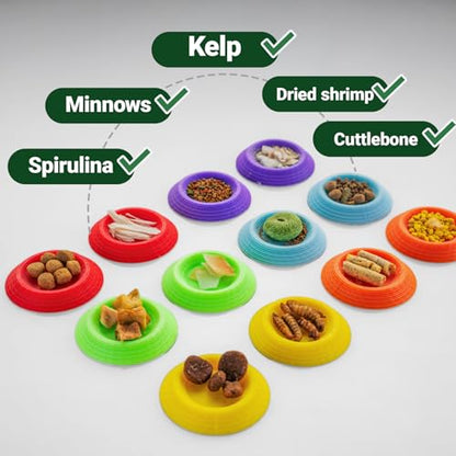 12pcs Isopods Feeder Bowls, Tiny Feeding Dish for Isopods, Springtails, Dubia Roaches, Dwarf Invertebrates – Colorful Food Dishes for Terrariums and Enclosures