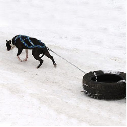 Dog Sled Harness Waterproof Nylon with Reflective Strips Durable Running Harness for Large Dogs (Yellow, 3XL) - color: Yellow, size: 3XL