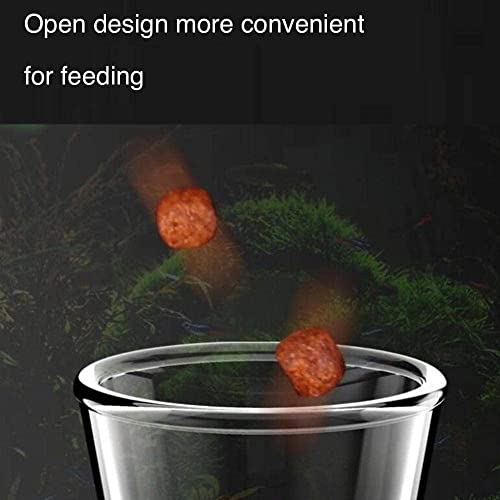 2in1 Shrimp Feeding Tube and Dish, Clear Crystal Glass Shrimp Feeder Tube Tray for Fish Tank Aquarium Shrimp (10in Feeding Tube + 60mm Dish)