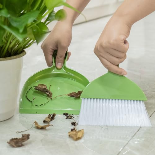 2PCS Small Broom and Dustpan Set, Mini Dust Pan and Brush, Hand Whisk for Pets, Kids, Desk, Home, Camping, Green Cleaning Supplies