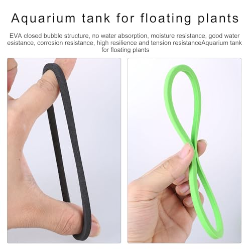 Fishtanks Floating Plant Rings 5pcs Corral Aquariums Feeding Food Holders Aquarium for
