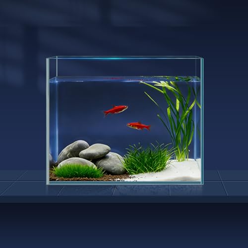 1 Gallon Fish Tank Starter Kit with Fish Net, 1 Water Changer Siphons & 2 Cleaning Cloth, Crystal Clear Glass Fish Tank, Small Fish Tank/Aquarium for Betta & Goldfish, Nice Home Décor - color: 1 gal square