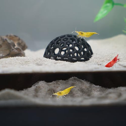 Shrimp Breeding Protection Set, 3-Pack Bundle with Hide Dome, Half Protector, Breeding Protector (Black)