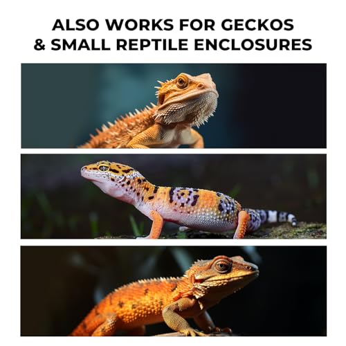 Bearded Dragon Tank Cleaning Kit, Reptile Enclosure Cleaning Tool Set with Mini Dustpan, Brush, Scraper & Cleaning Cloth for Lizard & Gecko Terrarium Maintenance