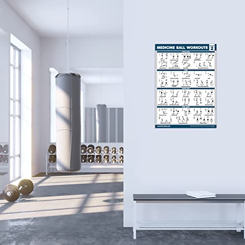 Palace Learning 2 Pack - Medicine Ball Workouts Volume 1 & 2 Exercise Poster Set - Fitness Charts