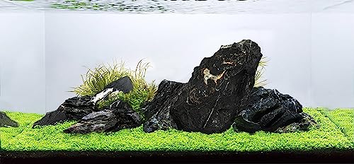 Dark SEIRYU Stones Natural Rocks(17lbs, 3~11 inches,7-8pcs) for Aquarium, Paludarium, Terrariums, Landscaping Rocks, Decorative Aquarium Rocks - size: 08 Dark Seiryu Stones(3-11inch,17lbs)