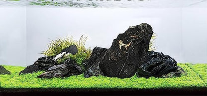 Dark SEIRYU Stones Natural Rocks(17lbs, 3~11 inches,7-8pcs) for Aquarium, Paludarium, Terrariums, Landscaping Rocks, Decorative Aquarium Rocks - size: 08 Dark Seiryu Stones(3-11inch,17lbs)