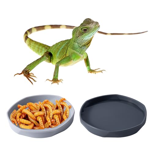 4 Pack Small Reptile Food Dish Bowl, Plastic Worm Water Dish Plate for Lizard Gecko Bearded Dragon Chameleon 4" W x 4" D x 0.5" H, White and Grey
