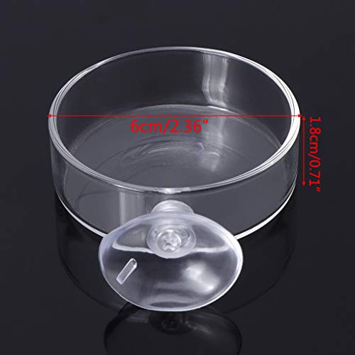 Glass Feeder Dish 2.4 Inches Wide 0.7 Inches Transparent Round Food Bowl for Cory Pleco Bottom Feeding Fish Aquarium Heater Light Thermometers Gravel Sand Decorations
