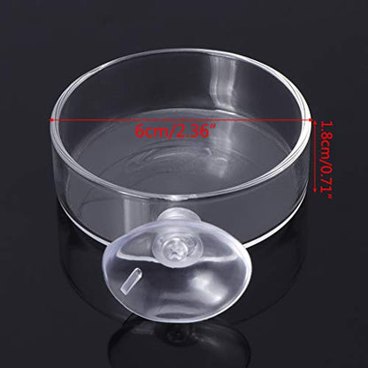 Aquarium Shrimp Feeding Dish with Suction Cup High Transparent Glass Bottom Feeder Food Bowl 2.4x0.7 Inch Round Tray