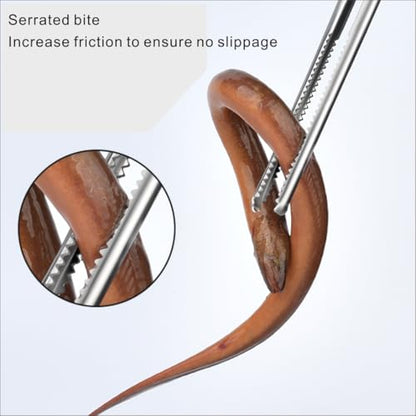 Stainless steel crab and reptile feeding pliers, 15 inch double pack, straight mouth and curved serrated jaws, suitable for live seafood and pet care