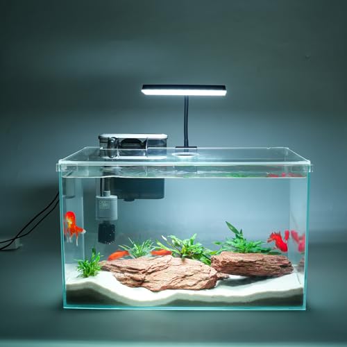 10 Gallon Glass Small Fish Tank with Filter Light and Lid, Aquarium Starter Kit - size: 10 Gallon