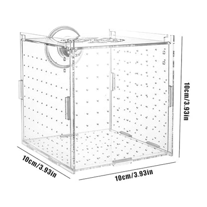 Breeder Box for Fish Tank – 10x10x10cm Acrylic, Clear Nursery Hatchery, Breeding Container | Perfect Aquarium Fry Raising, Betta Isolation Space, Guppy Support, Angelfish Egg Care, Shrimp Habitat
