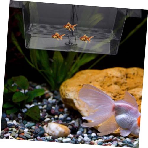 1pc Fish Breeding Box Fry Hatchery Incubator for Aquariums Isolation Container for Fish Safe Breeding and Hatching Environment for Fry and Shrimp