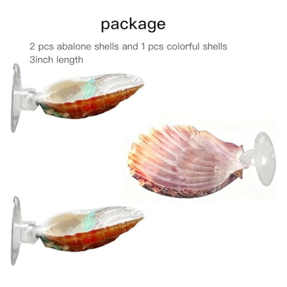 Betta Fish Bed, 4 Pieces Shell Shaped Resting Pads, Betta Resting Spot with Suction Cup for Aquarium Tank, Shrimp Breeding, Relaxation Cave, and Pet Store Display