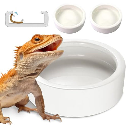 Worm Dish - Large 2 Pcs Reptile Food & Water Bowl for Lizard, Gecko, Chameleon, Hermit Crab, Bearded Dragon & More - Ceramic Anti-Escape Mini Reptile Feeder