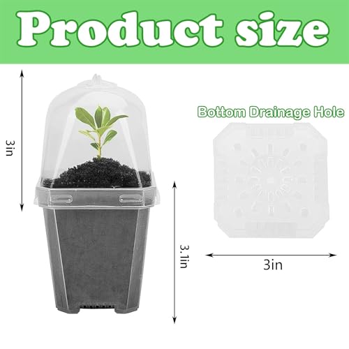 10PCS Clear Plant Nursery Pots with Humidity Dome - 3" Plastic Gardening Pot with Labels, Durable Plastic Plant Container for Seedlings/Vegetables/Succulents/Cuttings