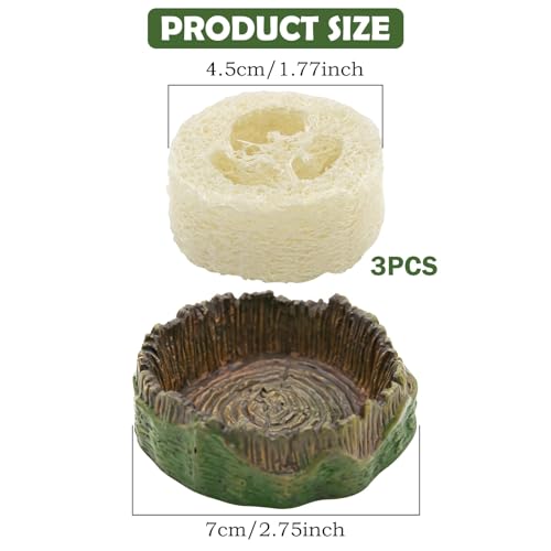 Cockroach Water Basin & 3 Loofah Set, Dubia Roaches Live Habitat Reptile Container Supplies for Terrariums & Enclosures, Comfortable Habitat for Roaches Live, Isopods, Springtails, Crickets