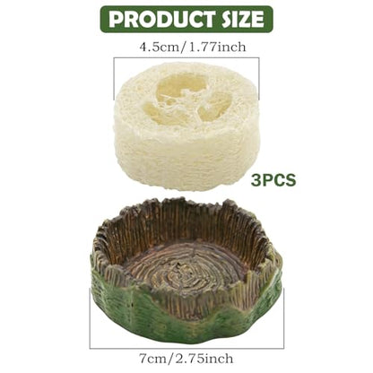 Cockroach Water Basin & 3 Loofah Set, Dubia Roaches Live Habitat Reptile Container Supplies for Terrariums & Enclosures, Comfortable Habitat for Roaches Live, Isopods, Springtails, Crickets