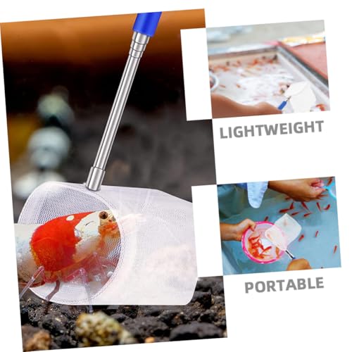 Toyvian 2pcs Telescopic Shrimp Net and Aquarium Fish Net with Fine Stainless Steel Mesh Lightweight Mini for Betta Fish Breeding Tanks and Aquarium Maintenance Cleaning