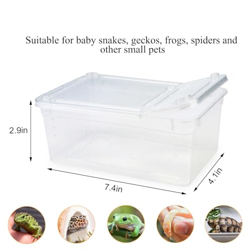 Small Reptile Breeding Box for Reptiles Small Snake Turtle Spiders Geckos Frogs Breeding Box Case Feeding Hatching Container Reptile Tank Terrarium