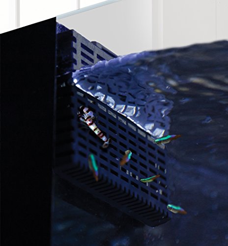 Innovative Marine Fish Guard - 2 Pack (Desktop) - size: 1.6 ounces