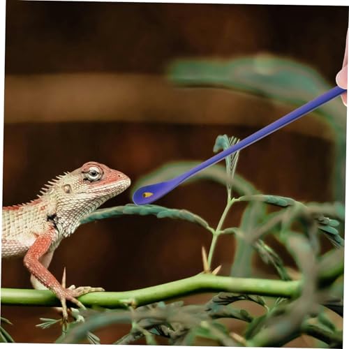 Toddmomy 2pcs Stainless Steel Small Pet Feeding Spoon Practical Reptile Food Scoop for Lizards and Small Animals Design for Easy Use