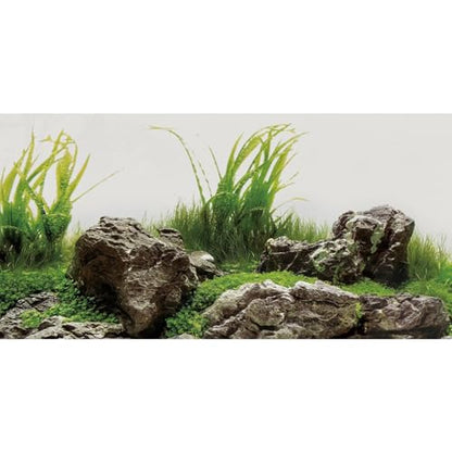 AWERT 30x12 inches Seaweed Aquarium Background Aquatic Plant River Bed & Lake Fish Tank Background Stone Aquarium Background Vinyl Background