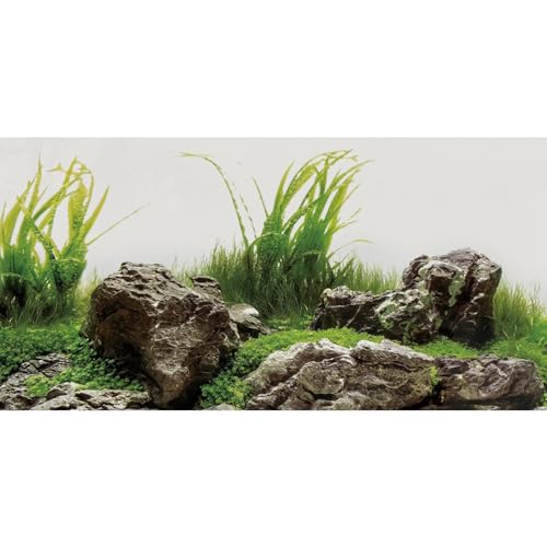 AWERT 30x12 inches Seaweed Aquarium Background Aquatic Plant River Bed & Lake Fish Tank Background Stone Aquarium Background Vinyl Background
