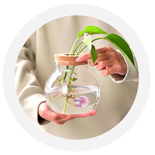 Small Fish Bowl, Cute Betta Tank, High Clear Fish Glass Bowl, Desktop Mini Aquarium Vases for Betta Fish and Hydroponic Plants, Plants Propagation Station, Home Office Table Decorations - size: 0.5 Gallon