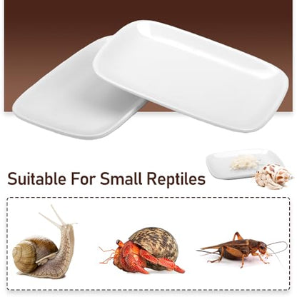 2 Pcs Small Reptile Feeding Dish Ceramic Eating Basin Feeding Bowl for Hermit Crab Snail Cricket Insect Invertebrate Isopod