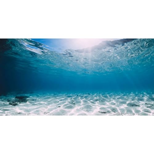36x18 inches Polyester Undersea Theme Ocean Floor Aquarium Background Tropical Fish Tank Background - color: Blue, size: 36x18 inches