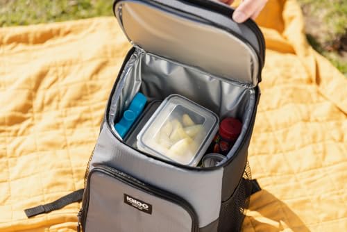 Igloo Maxcold Ice Block,2 Pieces, Ice Block - color: 2PK Large