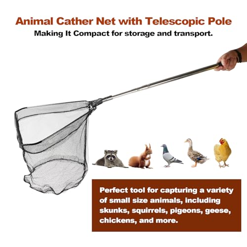 Chicken Catching Net, Animal net with Extendable 46 Inch Stainless Steel Pole, Chicken Nets for Chickens, Ducks, Birds Cats, Dogs，Fishnet, Chicken Catcher for Poultry Supplies