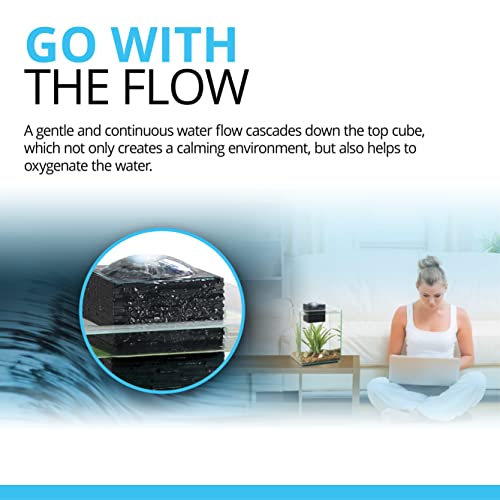 Fluval Chi II Series Aquarium Set, 5-Gallon - Aquarium Tank with Ambient LED Lighting, Flowing Water, and Elegant Design, White