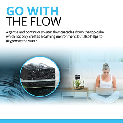 Fluval Chi II Series Aquarium Set, 5-Gallon - Aquarium Tank with Ambient LED Lighting, Flowing Water, and Elegant Design, White