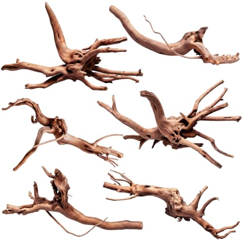 Yookeer 6 Pcs Natural Driftwood for Aquarium 6-10 Inches Driftwood Assorted Shapes Reptile Terrarium Decor Drift Wooden Branch for Fish Tank Aquarium Decoration