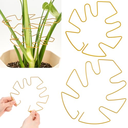 Plant Stem Support 2 Pack, Adjustable Metal Monstera Plant Support Small & Large, Unique Design Plant Supports for Indoor Plants Moss Pole Growth (Gold) - size: 5.5*5.9/1, 6.3*7.5/1