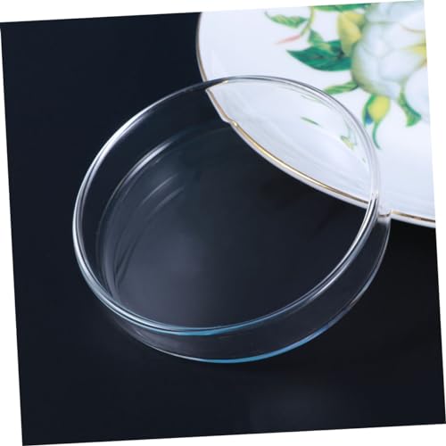 Toddmomy Clear Glass Shrimp Feed Dish Small Fish Feeding Bowl Durable Glass Feeder for Shrimp Fish and Reptiles for Aquariums and Home Decor