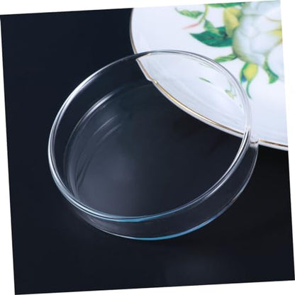 Toddmomy Clear Glass Shrimp Feed Dish Small Fish Feeding Bowl Durable Glass Feeder for Shrimp Fish and Reptiles for Aquariums and Home Decor