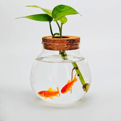 Small Fish Bowl, Cute Betta Tank, High Clear Fish Glass Bowl, Desktop Mini Aquarium Vases for Betta Fish and Hydroponic Plants, Plants Propagation Station, Home Office Table Decorations - size: 0.5 Gallon