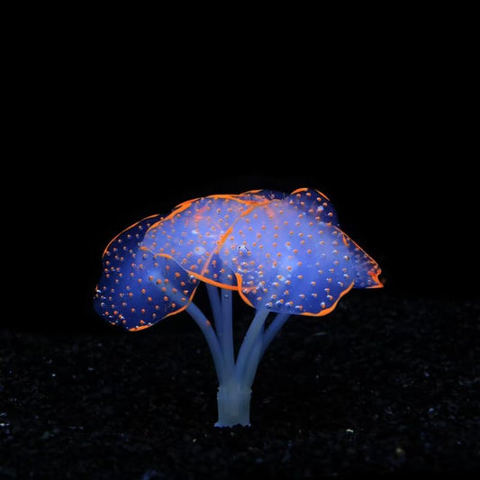 Silicone Artificial Coral Glowing Jellyfish Aquarium Decor Simulation Water Plant Anemone Fish Tank Landscape Ornament (Orange) - color: Orange