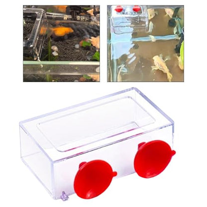 Fish Feeding Ring Float Food Tray Feeder Sturdy Gifts Fish Food Holder Versatile Turtles Aquatic Turtle Aquarium Accessories, S - size: S