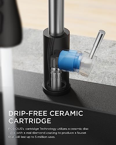 FORIOUS Kitchen Faucets with Pull Down Sprayer, High Arc Single Handle Classic Stainless Steel Sink Faucet 1 or 3 Hole, Suitable for Farmhouse Camper Laundry Rv Bar, Black Brushed - color: Black&Brushed, style: Classic