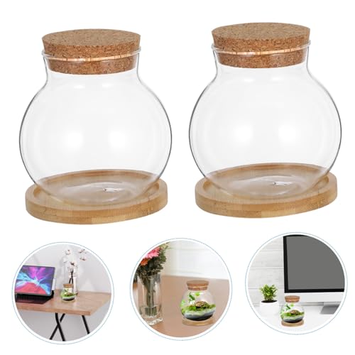 PRETYZOOM Glass Hydroponic Fish Tank with Mat Elegant Desktop Propagation Station for Plants for Home Office Decor Plant Lovers