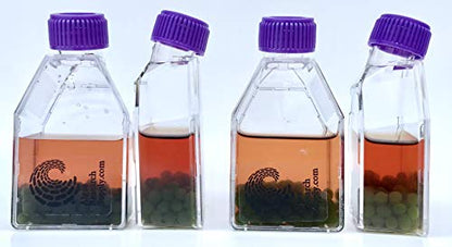 Algae Research and Supply: Algae Beads (Algae Beads Research Kit: 2,000 Beads, Indicator (50mL), pipettes)