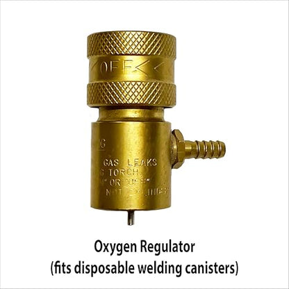 Oxygenation/Carbonation Wand & Regulator kit For Homebrew Beer and Wine - Stainless Steel 26" (67 cm)