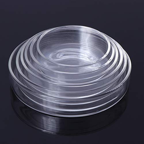 Shrimp Feeder Dish Glass Feeding Tray Aquarium Fish For Tank Reptiles Round Bowl 3.9in 3.5in 3.2in 3.0in 2.6in 2.4i Fish Tank Supplies Shrimp Feeder Tube Shrimp Feeder Dish Shrimp Feeder Dish And - size: Small