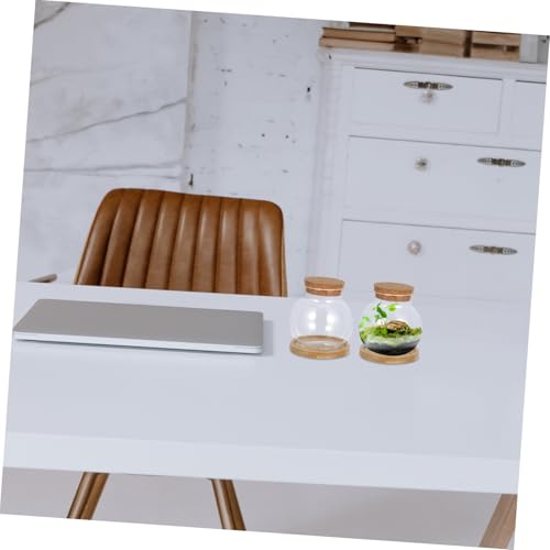 BESTYASH 2Set Hydroponic Glass Vases with Mat Desktop Plant Propagation Station for Fish Tank Plants Stylish Tabletop Fish Bowls for Home Office Decor and Plant Lovers