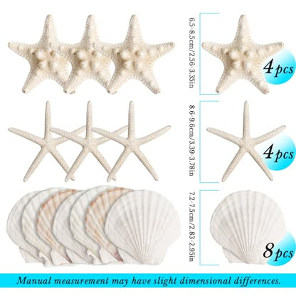 16 Pieces Starfish and Scallop Shells for Crafts 2.6"-3.8" Large Seashells Natural Sea Shells for Crafts Christmas Decor Beach Party Wedding Fishtank